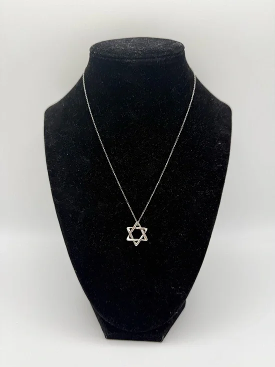 TIFFANY&Co. Tiffany Elsa Peretti Star of David Necklace/Chain Sterling Silver - Picture 3 of 10